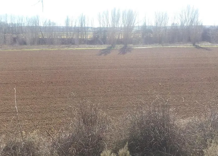 Villaespina Lantställe *